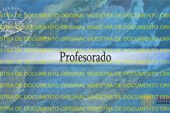 muestra-4-e1741798491331