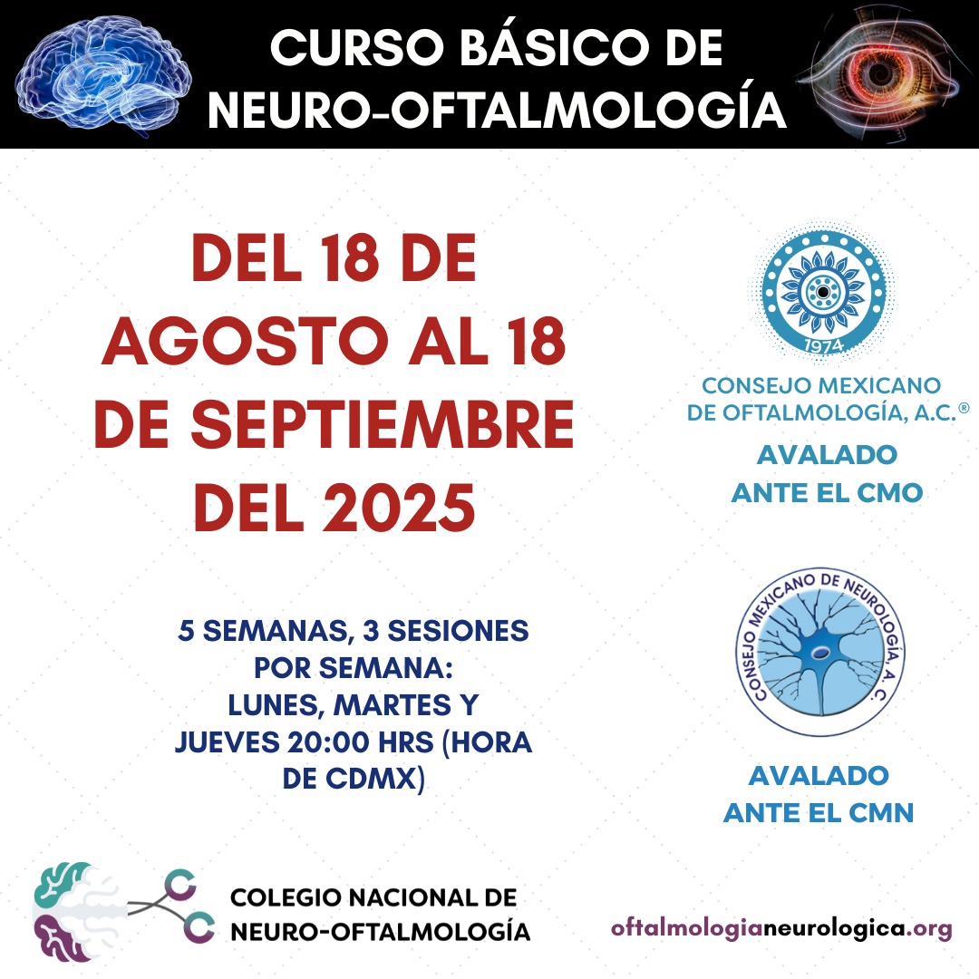 Curso-Basico-1.jpeg